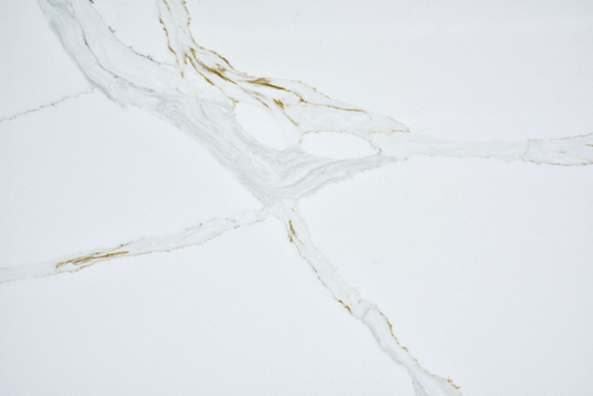 Calacatta Florenza Quartz