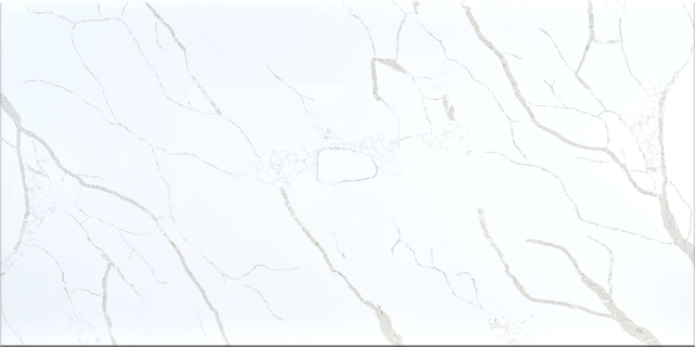 Calacatta Bello Quartz