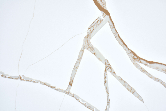 Calacatta Aurous Quartz