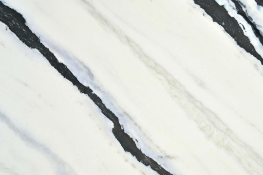 8016 Panda Black Raphael