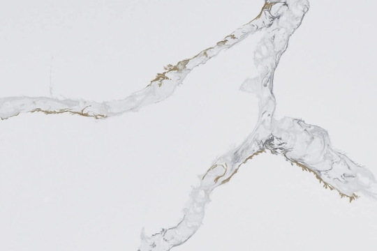 Calacatta Dove Quartz