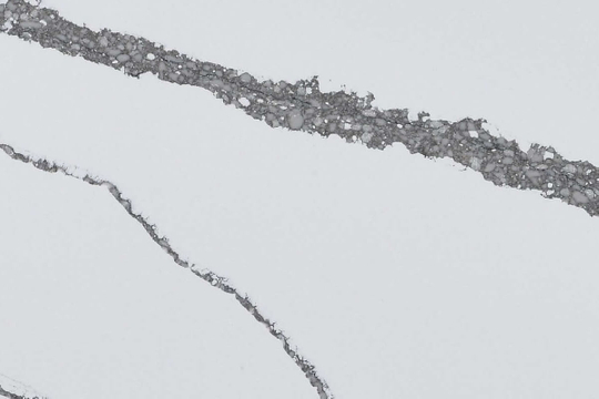 Calacatta Lion Quartz