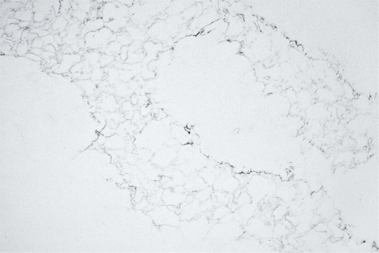 Calacatta Dolce Quartz