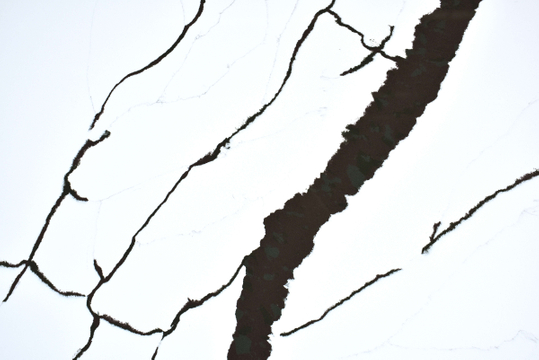 Calacatta Orca Quartz