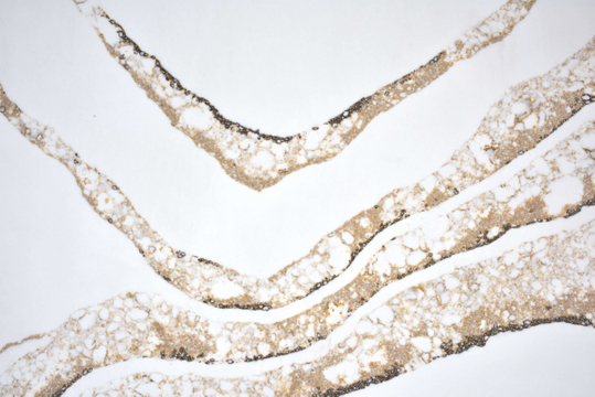 White Quartz with Copper Veins