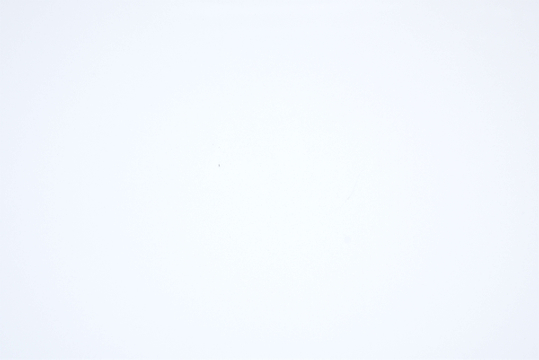 Quartz Absolute White