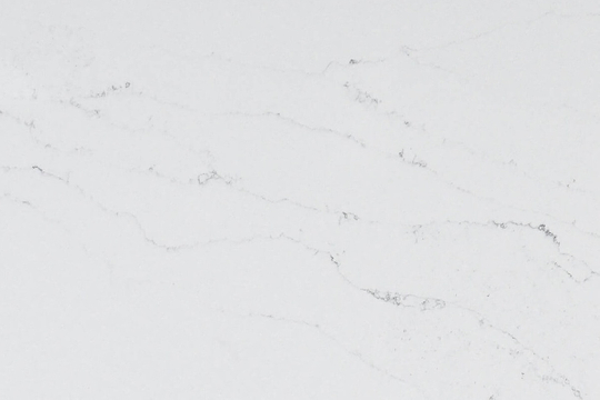 Calacatta Botanica Quartz