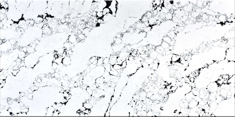 Arabescato Bianco Quartz